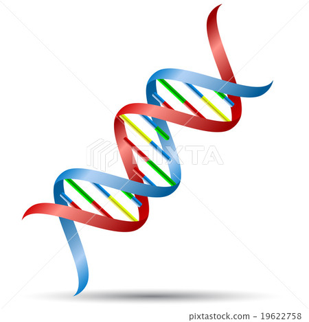 DNA helix 19622758