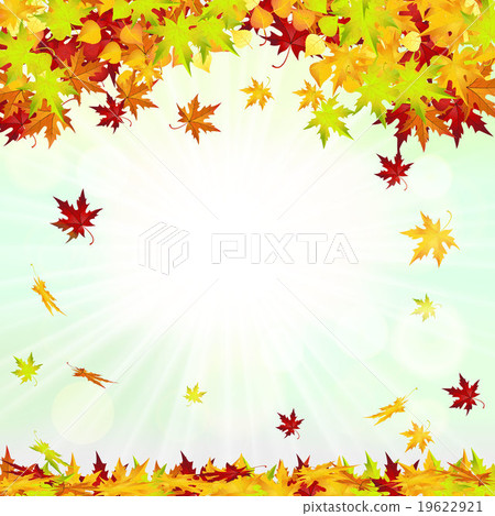 Autumn Frame With Falling Leaves  19622921