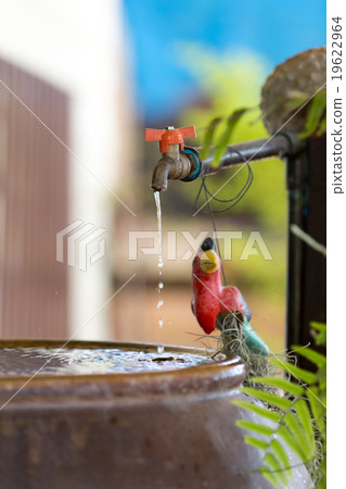 The faucet was turned into a drip into a blister. The faucet was turned into a drip into a blister. 19622964