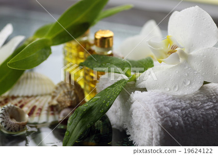 Spa orchid green towel 19624122