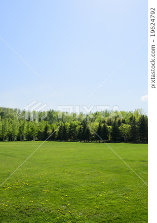 Blue sky and green square 19624792