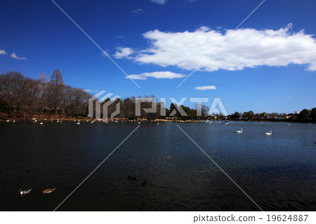 茨城縣水戶市大塚艾克公園 茨城縣水戶市大塚艾克公園 19624887