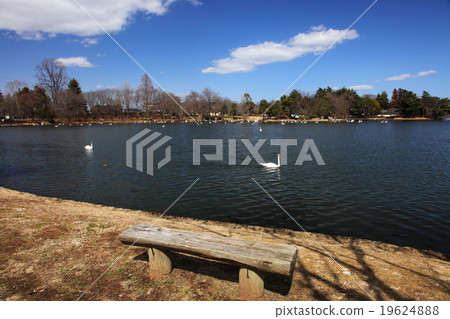 茨城縣水戶市大塚艾克公園 茨城縣水戶市大塚艾克公園 19624888