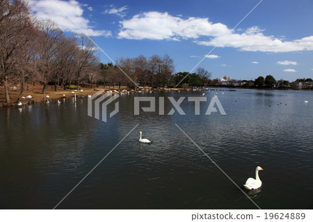 茨城縣水戶市大塚艾克公園 茨城縣水戶市大塚艾克公園 19624889