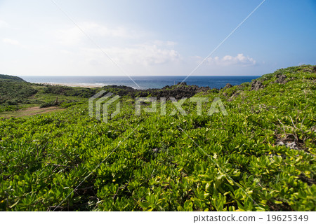 Cape Hedo沖繩縣 19625349