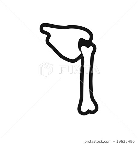 stylish black and white icon human bone stylish black and white icon human bone 19625496