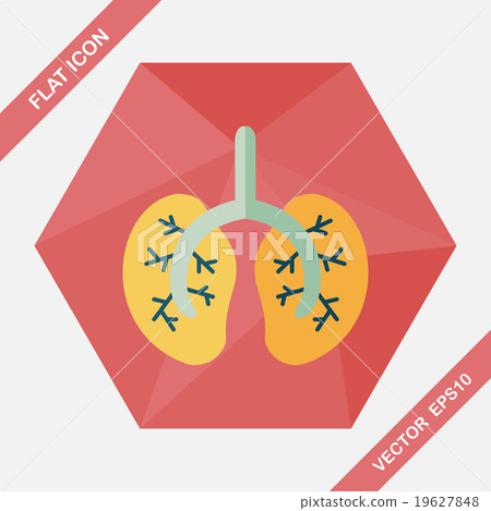 Lungs flat icon with long shadow 19627848