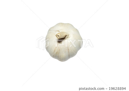 Fresh garlic Fresh garlic 19628894