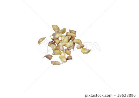 Fresh garlic 19628896