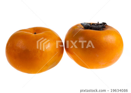 Persimmon fruit on white background.. Persimmon fruit on white background.. 19634086