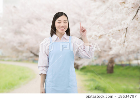 有站立在盛開的櫻花的圍裙的一位小姐家庭幫手 19634797