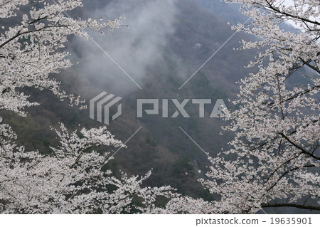 Impression of spring of Oka village Nagano prefecture Impression of spring of Oka village Nagano prefecture 19635901