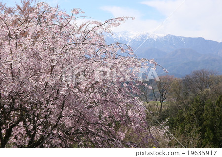 長野縣中川村Okusu城堡的春天廢墟公園 19635917