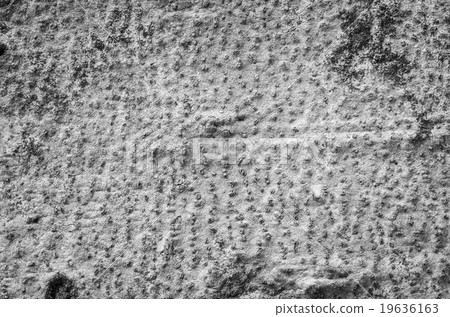 19636163