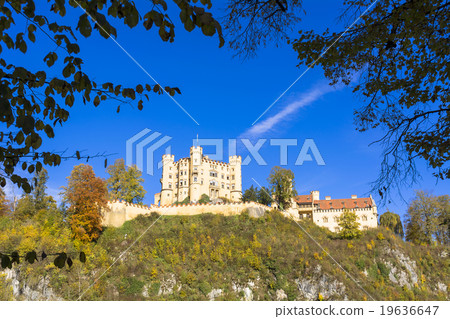 Autumn's Hohenschwangau castle 19636647
