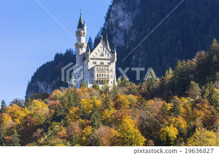 新天鵝堡城堡在秋天 19636827