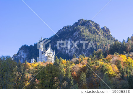Neuschwanstein Castle in autumn 19636828