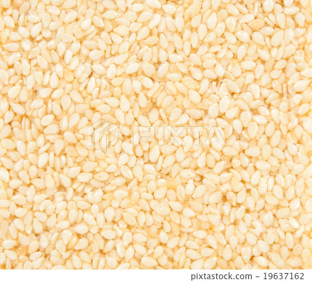 Honey bars with sesame Honey bars with sesame 19637162