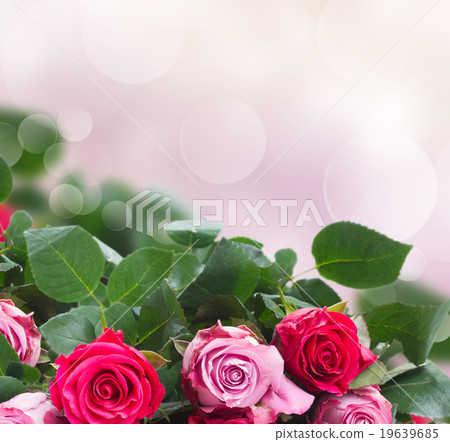 border of pink flowers border of pink flowers 19639685