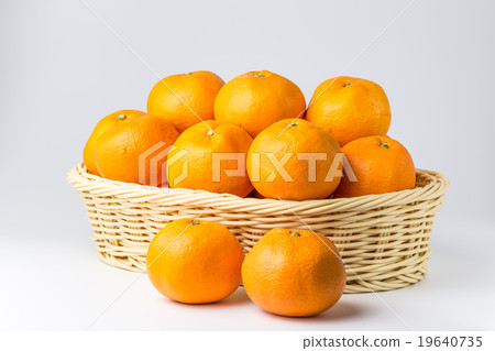 Orange  19640735
