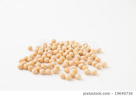 soy 19640736