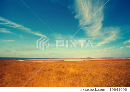 Pink lake in desert Pink lake in desert 19641006