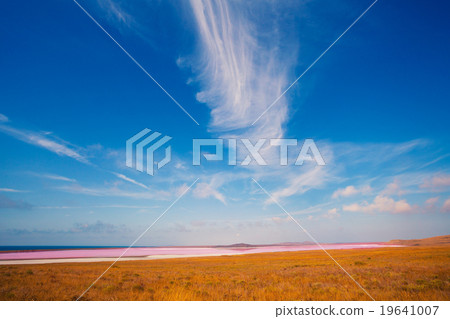 Pink lake in desert Pink lake in desert 19641007