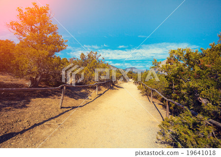 Dirt road in the park 19641018