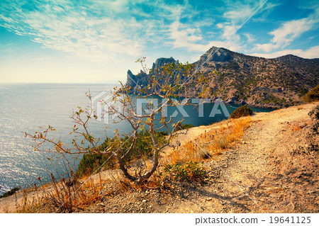 Rocky sea coast Rocky sea coast 19641125