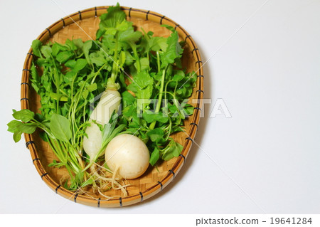 七種草藥 19641284