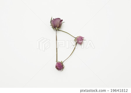 Stock Photo: Telephone rose font English letter "D" 19641812