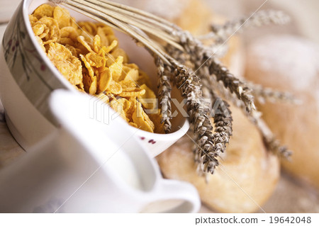 Organic food with bread, rural concept 19642048