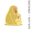 Parent-child monkey (family) 19642266