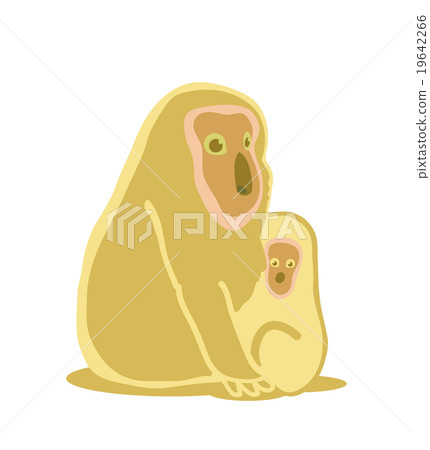 Parent-child monkey (family) Parent-child monkey (family) 19642266
