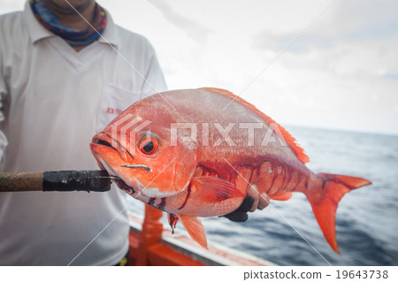 fisherman holding red fish on the fishing boat fisherman holding red fish on the fishing boat 19643738