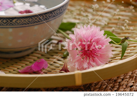 Spa floral composition Spa floral composition 19645072