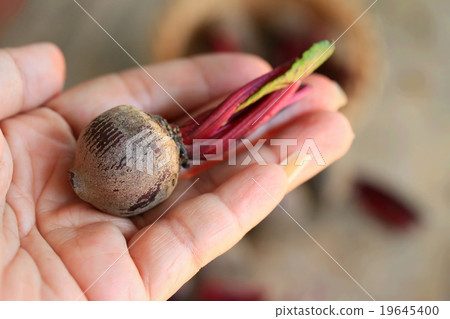 fresh beetroot small size 19645400