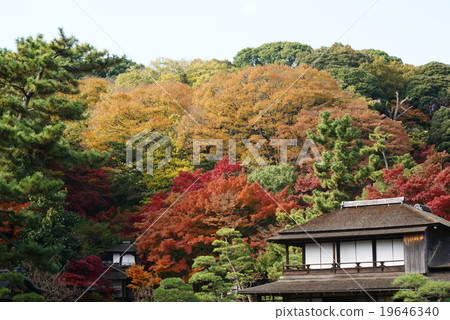 橫濱Sankeien花園在秋天 19646340