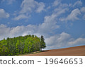 夏日丘陵 19646653