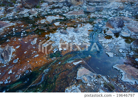 Chloroflexus aurantiacus and thermophilic algae Chloroflexus aurantiacus and thermophilic algae 19646797