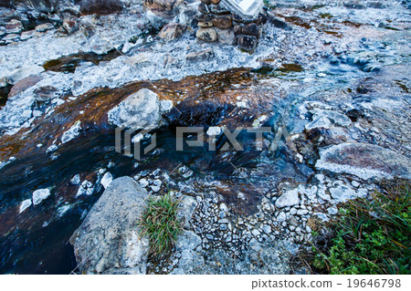 Chloroflexus aurantiacus and thermophilic algae Chloroflexus aurantiacus and thermophilic algae 19646798