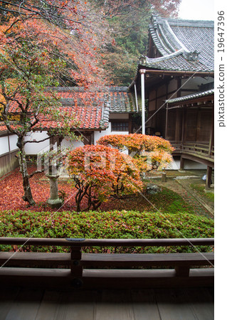 Bishamon Do,大陸庭院 Bishamon Do,大陸庭院 19647396