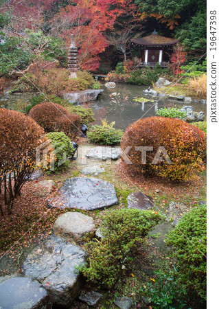 Autumn leaves in Bishamondo garden, late Maiden Garden, Kannondo and pond Autumn leaves in Bishamondo garden, late Maiden Garden, Kannondo and pond 19647398