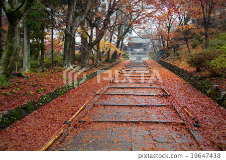 Bishamon Do，雨，石階向Teshikomon 19647438