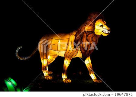 light festival of lion 19647875