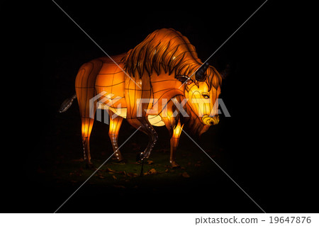 light festival of Bison light festival of Bison 19647876