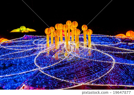 light festival of these flower 19647877