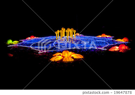 light festival of these flower 19647878