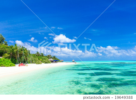 tropical beach in Maldives tropical beach in Maldives 19649388