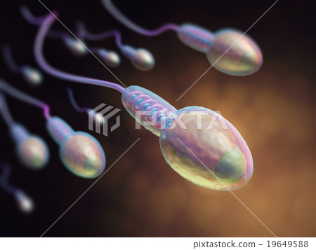 Human Reproduction Human Reproduction 19649588